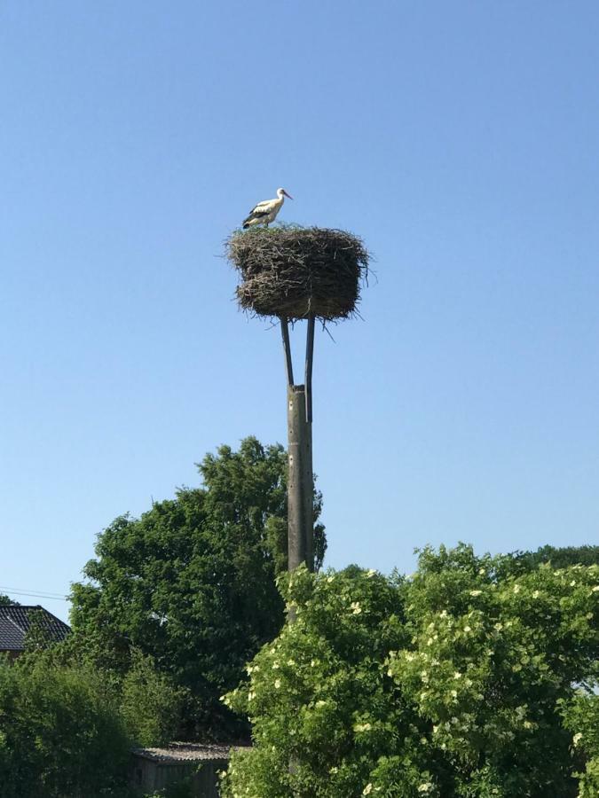 Landhaus Zum Storchennest Kloster Wulfshagen Bagian luar foto